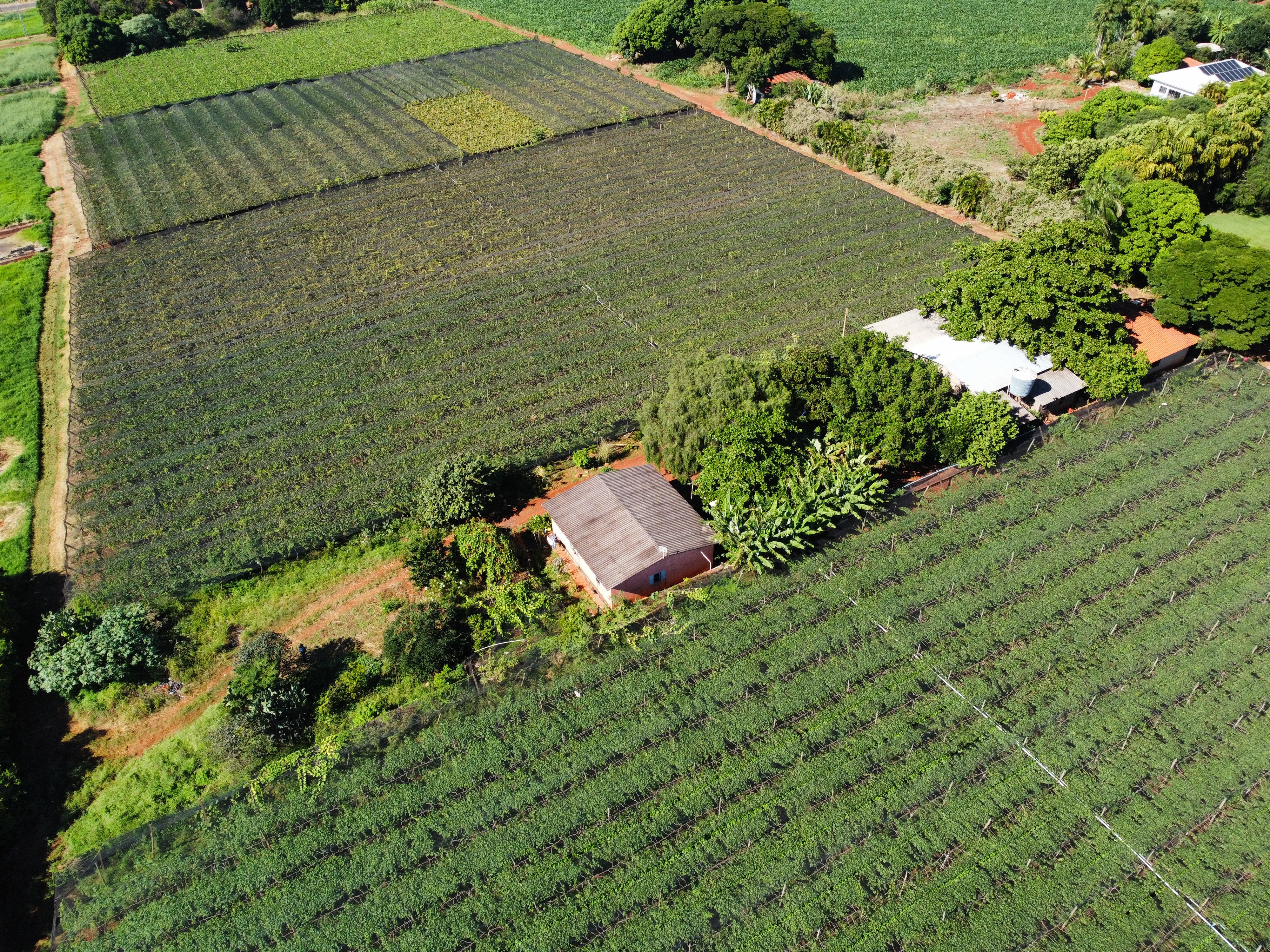 Indentidade Geográfica 004