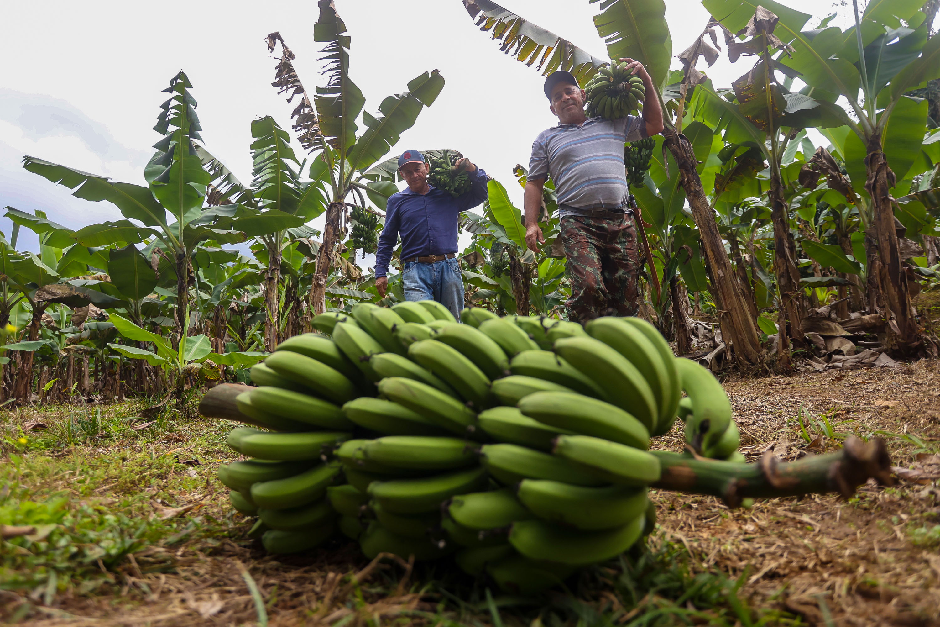 Indentidade Geográfica 0011