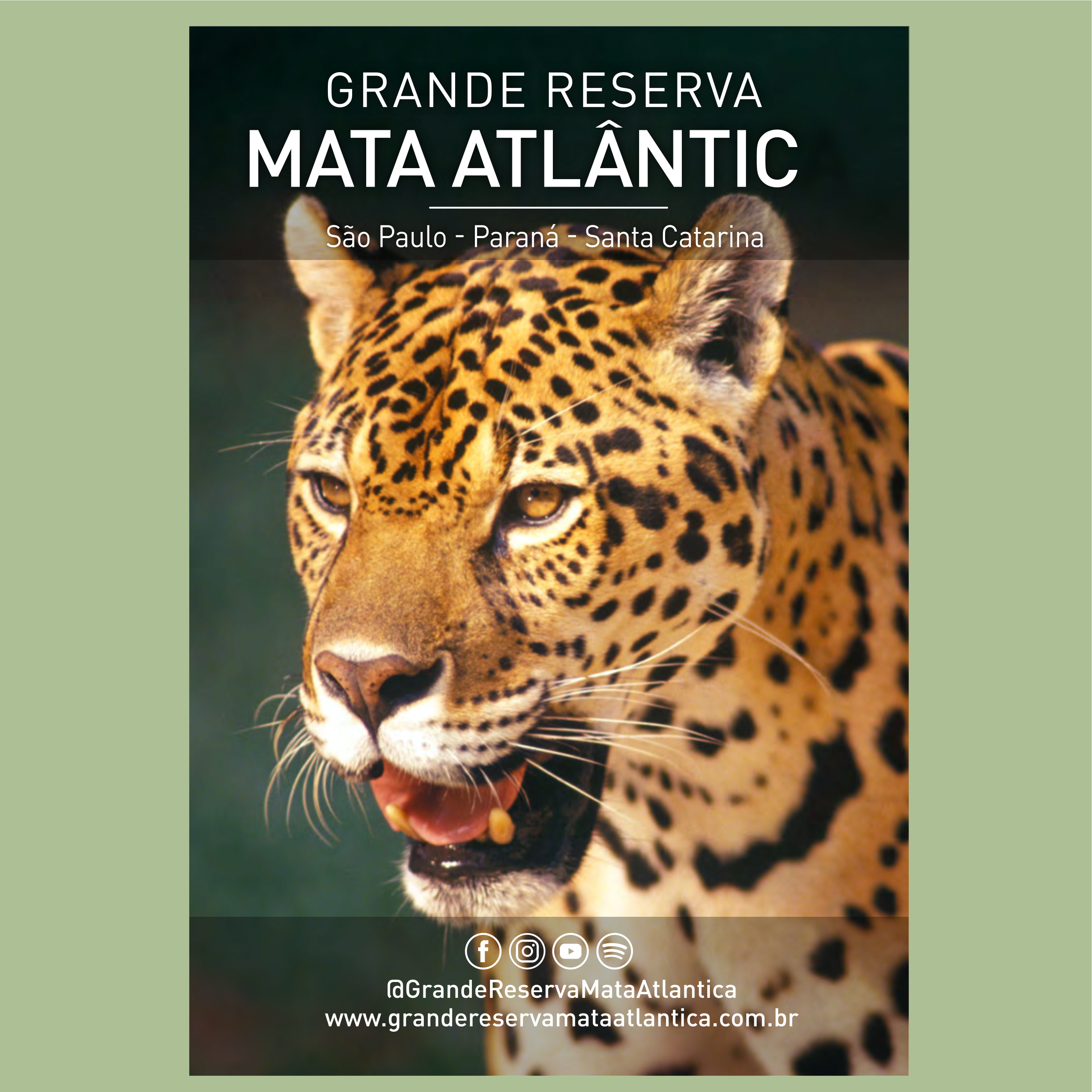 Grande Reserva Mata Atlântica - Português