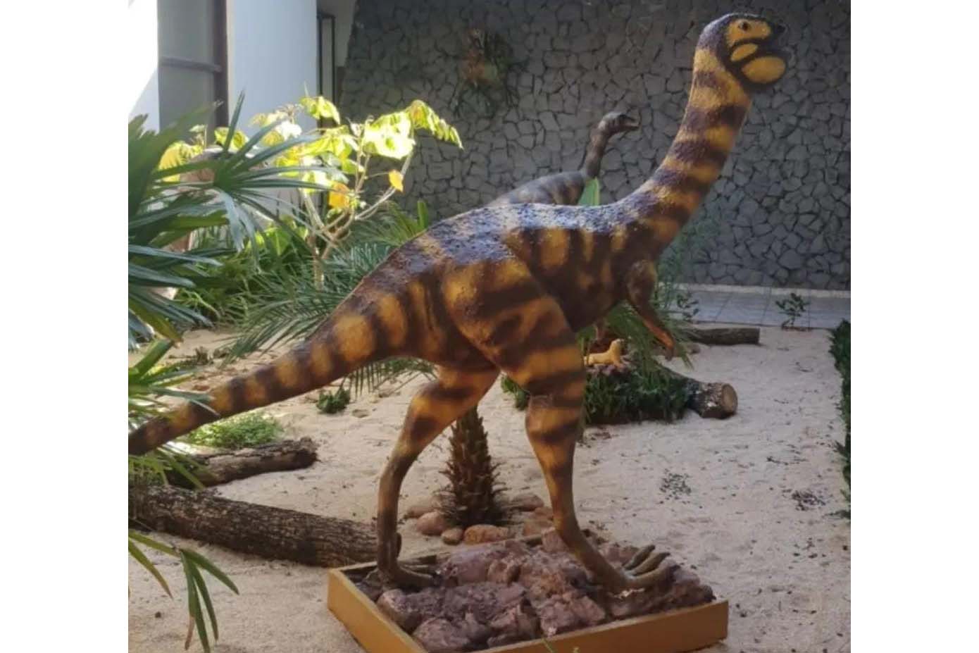 Vale dos Dinossauros 005