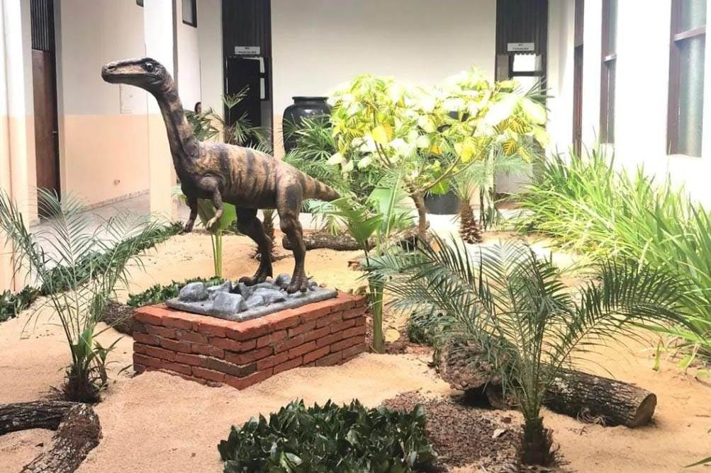 Vale dos Dinossauros 006