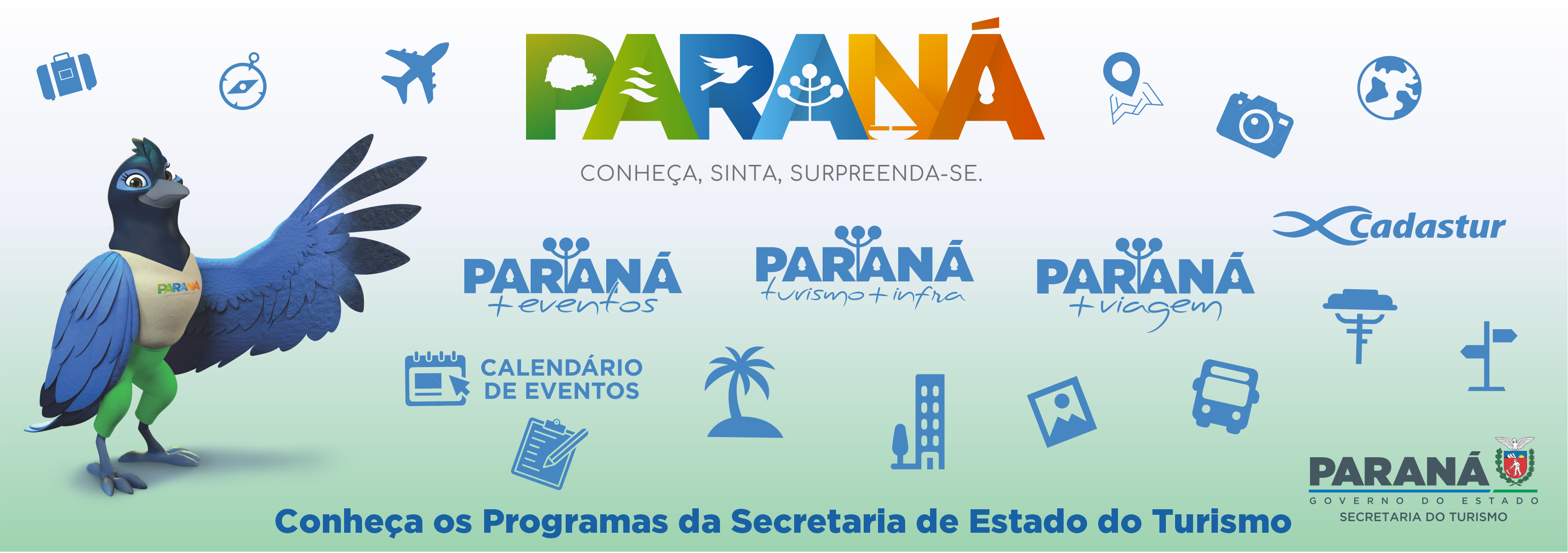 portifólio programas