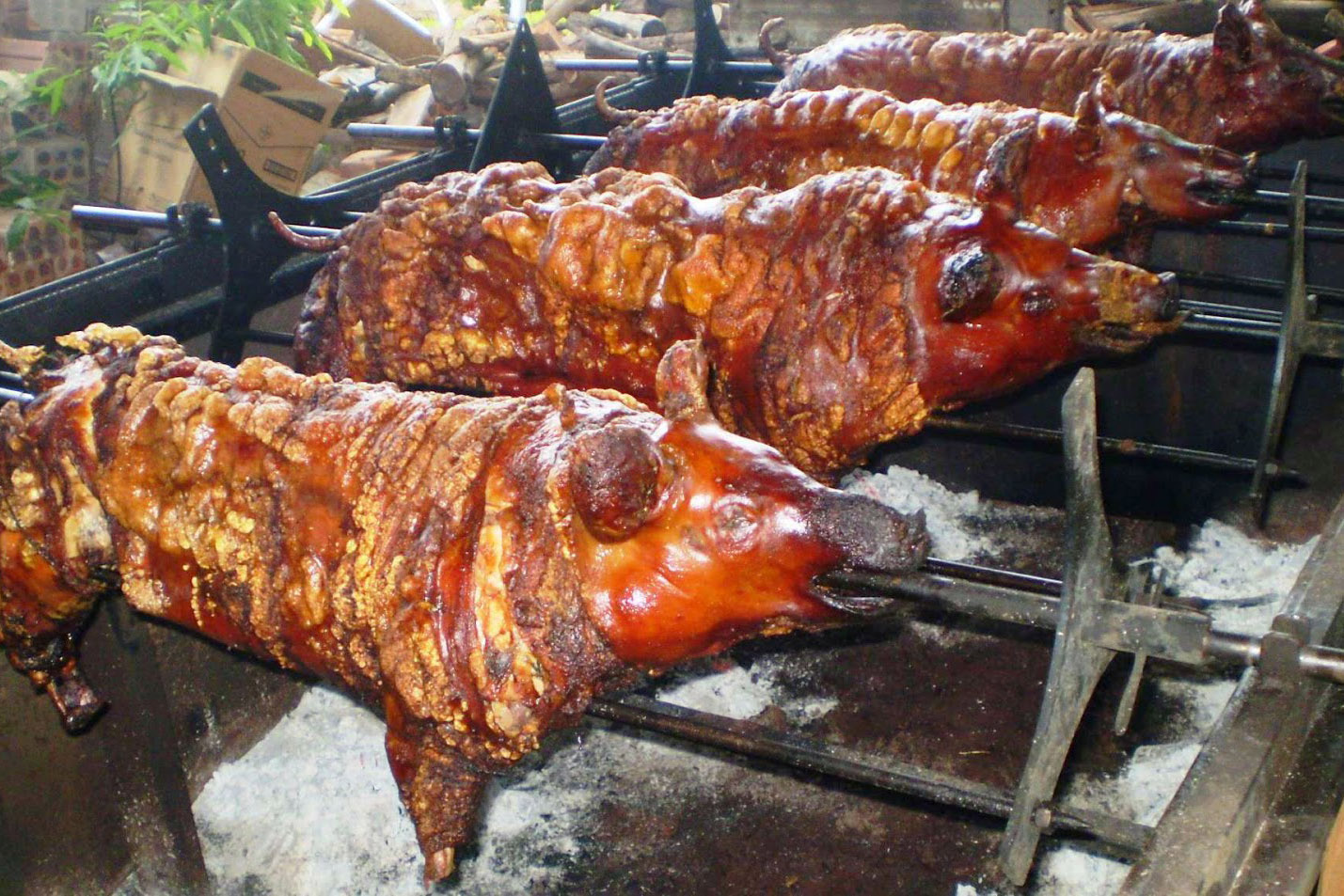 Expo Turismo Paraná 008