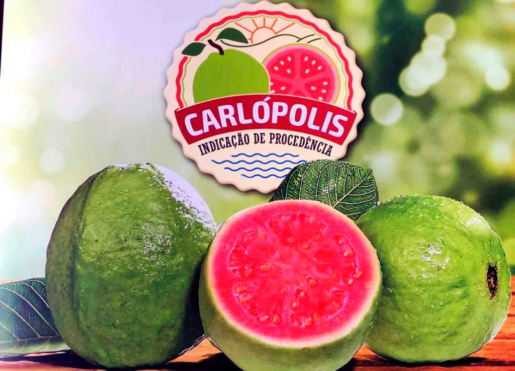 Simpósio Paranaense de Fruticultura 