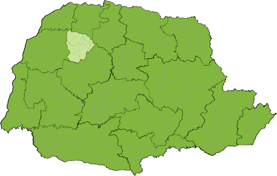 cinturao-verde.png