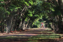 itaipulandiahotelitacora_019