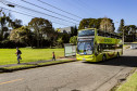turistas 011