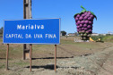Marialva Uvas Finas 005