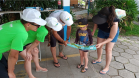 verão 004