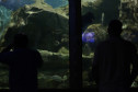 aquario 004