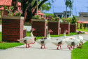 Parque urbano 0015