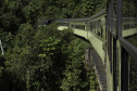 Viagem de trem 0010