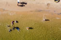 balneários da região Noroeste 0025