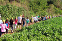 Caminhadas da Natureza 003