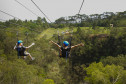 pesquisa do Turismo 004