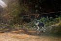 Feirão Nacional do Turismo 001