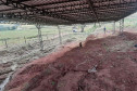 Vale dos Dinossauros 002