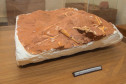 Vale dos Dinossauros 0010