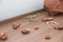 Vale dos Dinossauros 0012