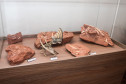 Vale dos Dinossauros 0013