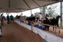 Exposições do Paraná 001