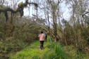 Rota dos Caminhos do Peabiru 002