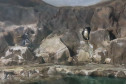 Aquário de Paranaguá 009