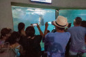 Aquário de Paranaguá 0012