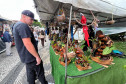 Largo da Ordem e Mercadão de Maringá 002