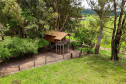Norte do Paraná 004
