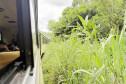 Estrada de Ferro Paranaguá desenvolvimento 0011