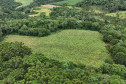 Capital do Vinho do Paraná, Bituruna 009
