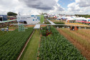 Show Rural 2025 bate recordes 006