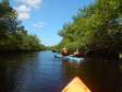 Viajantes + Seguras 0013