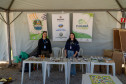 festival da primavera