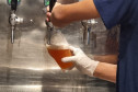 Foz do Iguaçu vai receber circuito da cerveja artesanal no próximo sábado
