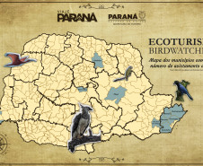 mapa_avistar