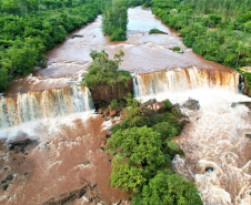 maringa 004