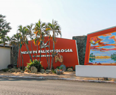 maringa 010
