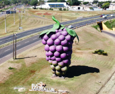 Marialva Uvas Finas 002