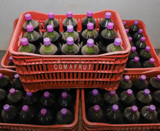 Marialva Uvas Finas 004