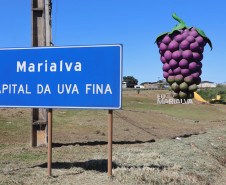 Marialva Uvas Finas 005