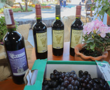 Marialva Uvas Finas 003