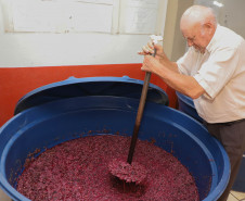 Marialva Uvas Finas 0011