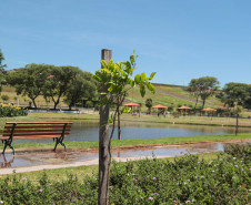 Parque urbano 001