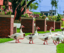 Parque urbano 0015