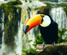 turismo009