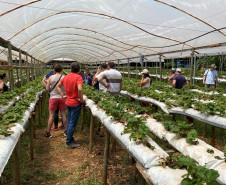 Turismo rural técnico-científico 007