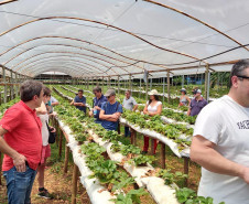 Turismo rural técnico-científico 006