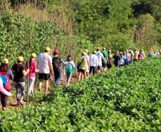 Caminhadas da Natureza 003